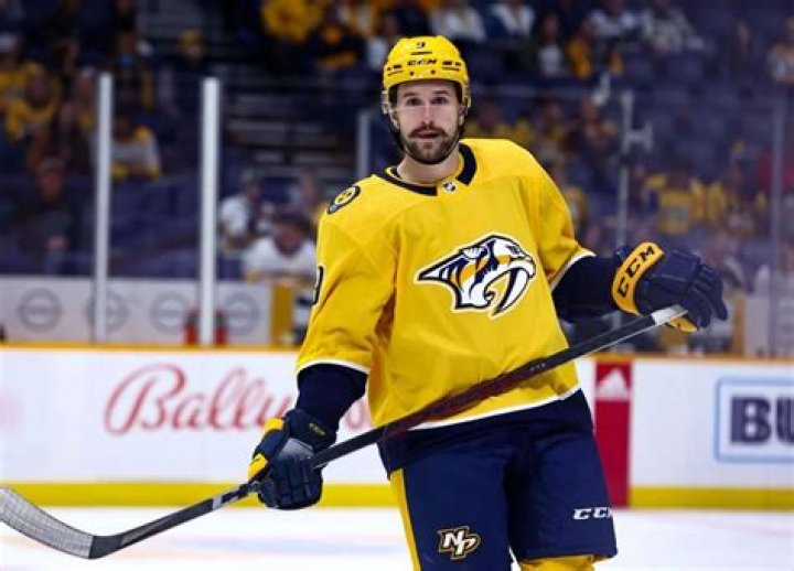 Is Filip Forsberg Related To?